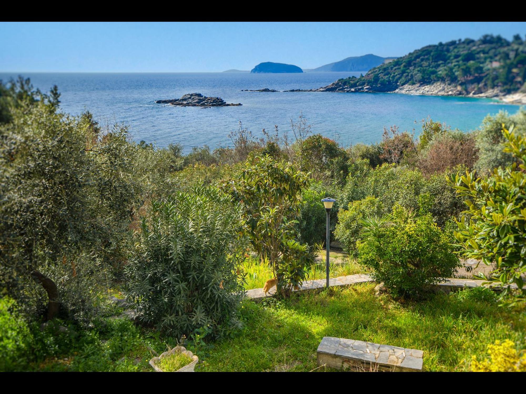 Apartment Seaside Stories Palaiontsiflikion