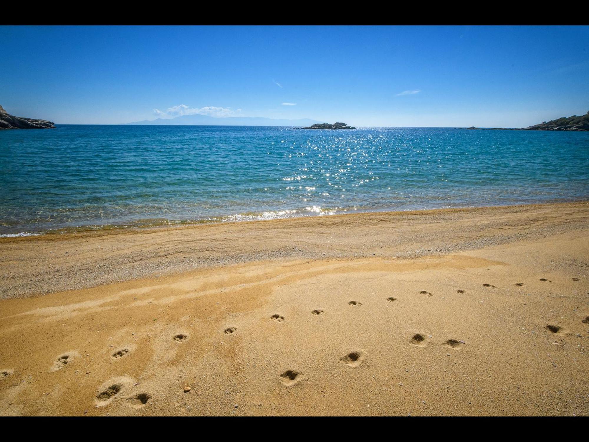Seaside Stories * Palaiontsiflikion